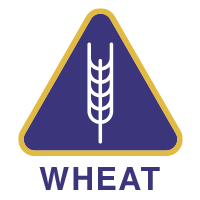 Contains Wheat